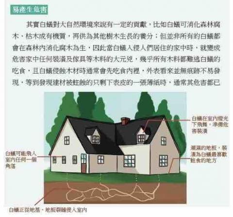 步步企業有限公司 - 什麼是白蟻？認識白蟻