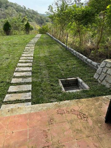 👑皇喬園藝《樹木修剪、伐木整地》 - 