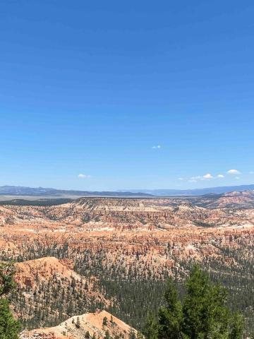 YT：閒鹹山貝⛰️🐚 - ??