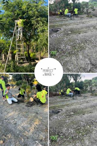 提供割草服務的專家松御景觀工程