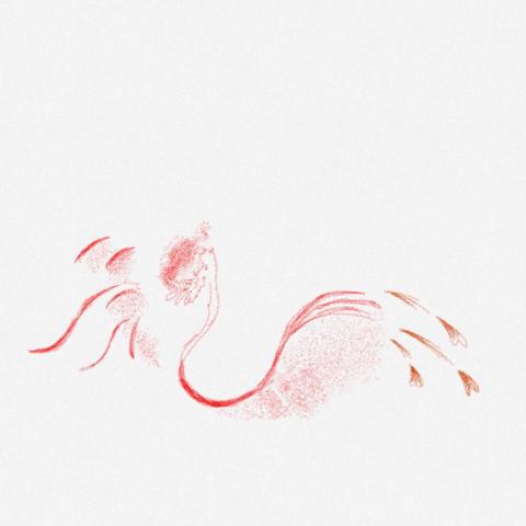 提供plainme門市服務的專家蘇銀銀