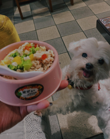 紀 - 帶毛孩去寵物友善餐廳吃飯