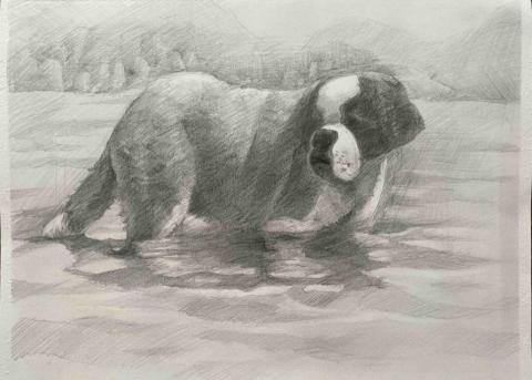 Jasmine老師 - 鉛筆素描