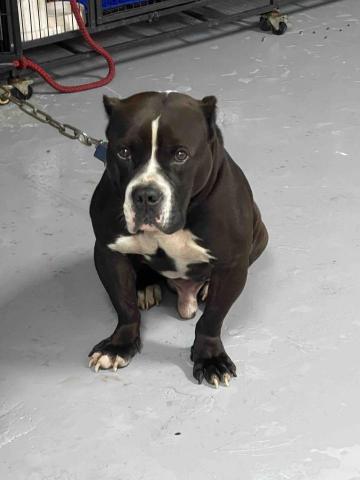 蔡宜悅 - 我看起來很兇嗎？其實我很親人