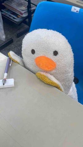 提供74包包服務的專家許文馨