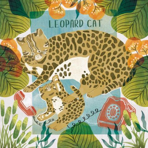 萩山設計 - Wacom Taiwan 《石虎畫撥計畫》｜插畫設計