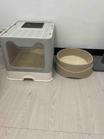 王寶霈 - 鏟屎完成