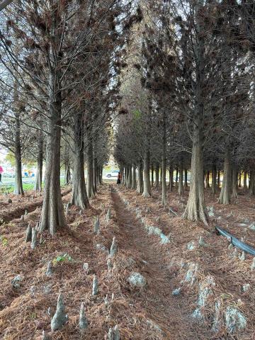 提供查修服務的專家陳俊州