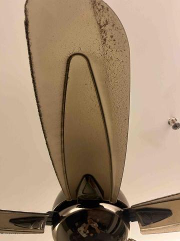 小資家適 - 吊扇清潔前