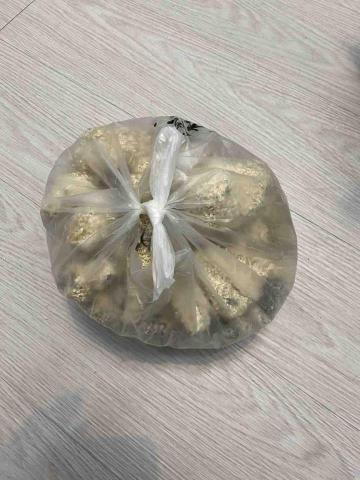 王寶霈 - 鏟屎打包