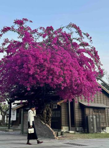 泰文翻譯，泰文教學 - 可以線上教學，或戶外教學