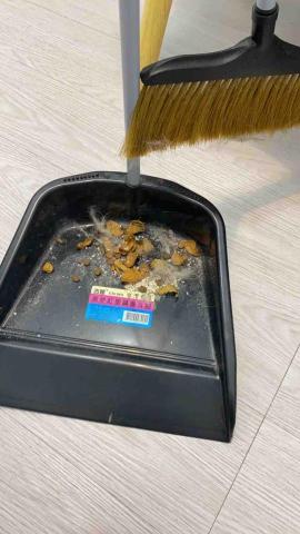 王寶霈 - 環境清潔