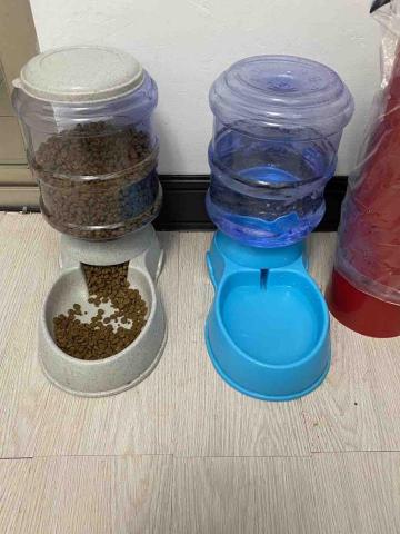 王寶霈 - 更換乾淨