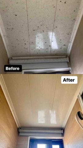 打掃交給Pinky! - 除霉交給我！