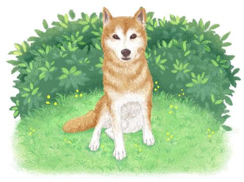 Lin Chun Li - 毛還似顏繪