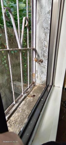 24小時居家服務 - 清潔前