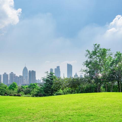 提供ui服務的專家Vivi