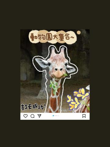 陶楚欣 - 照片美編範例！