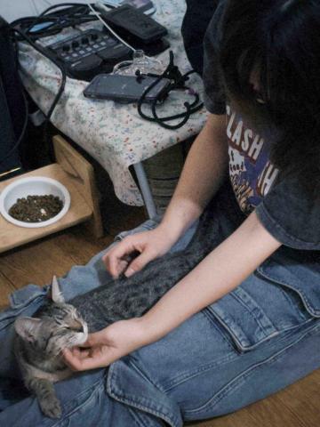 彭佩萱 - 拜訪朋友家的貓貓，超乖，還在我腿上睡著?