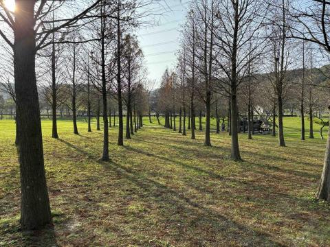 提供autocad2d服務的專家熱帶雨林有梅花鹿