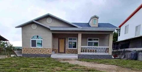 大熊工程/黑熊 - 