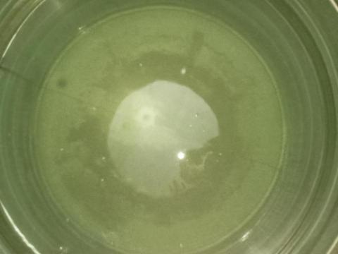 AIR專業清潔有估價單與清潔簽訂簡易合約 -  AIR專業清潔有估價單與清潔簽訂簡易合約 -