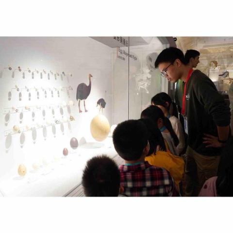 鄭啟宏 - 臺灣大學的小小地質營，帶國小生前往臺灣博物館參觀及導覽