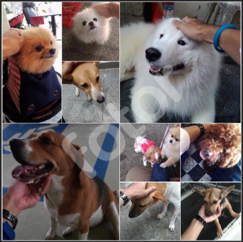 信 - 通通都是自己拍的！