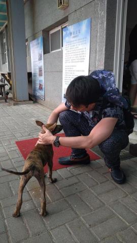 信 - 台南偶遇的小狗勾