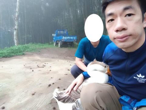 信 - 鵝仔也不放過