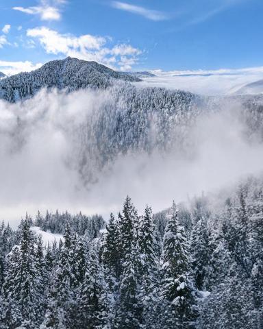 一點飛行 OnePoint - 太平山 一點飛行 OnePoint - 太平山