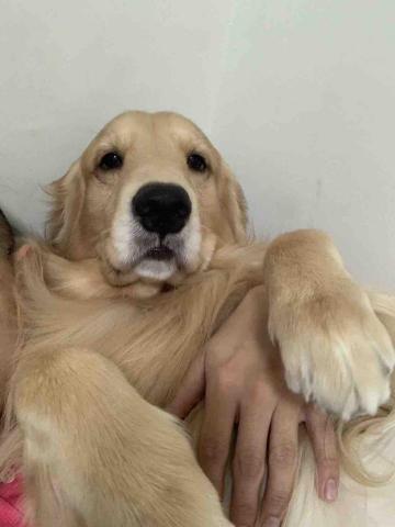 江鴻智 - 自拍的錢錢