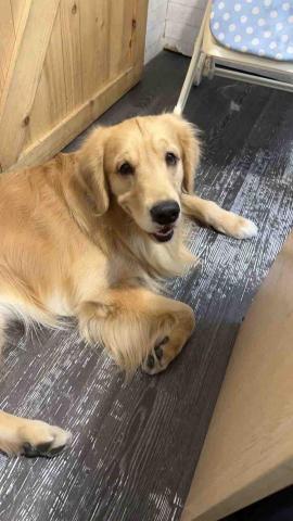 江鴻智 - 上班時愛睏的錢錢