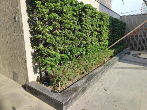 台南園藝行 - 灌木維護