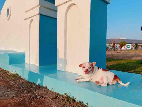 張佩琳 - 景點探索✨