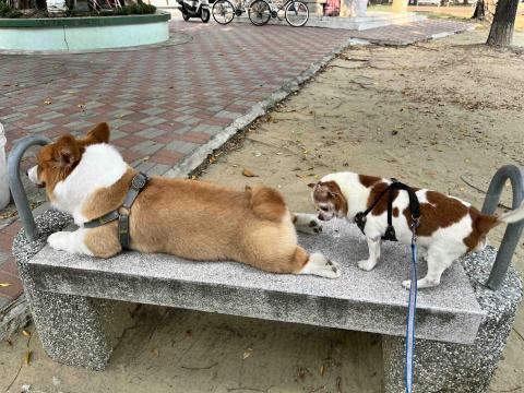 張佩琳 - 公園散步交朋友??