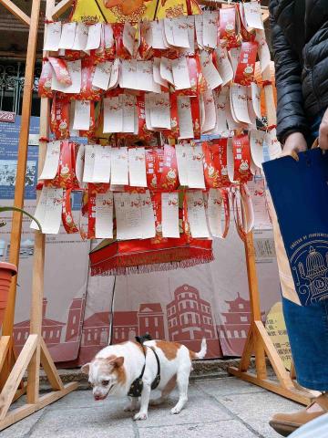 張佩琳 - ✨市集散步✨