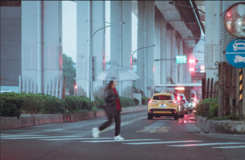 固米 攝影 - Meyer-optik G&ouml;rlitz Orestor 100mm f2.8 鏡頭拍攝