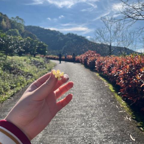 提供配音服務的專家何冠靜