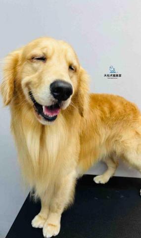 江鴻智 -  洗完澡的錢錢