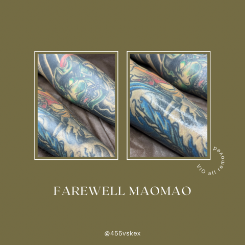 森森時尚美學 - 腿部全除