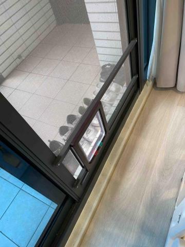 寵物門安裝 - 紗窗安裝貓門