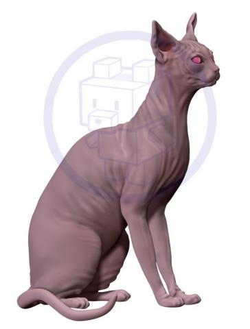 紙箱小熊工作室BoxBearStudio - 