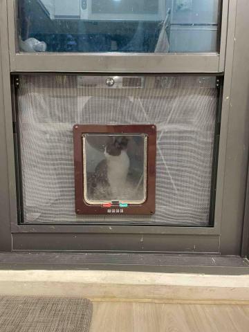 寵物門安裝 - 三合一門安裝貓門