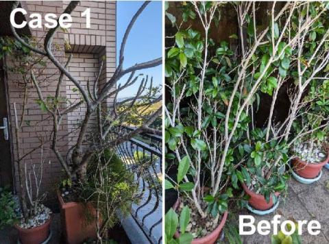 榭園景觀工作室 - 