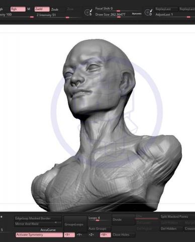 紙箱小熊工作室BoxBearStudio - 