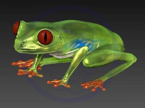 紙箱小熊工作室BoxBearStudio - 