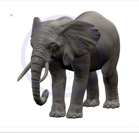 紙箱小熊工作室BoxBearStudio - 