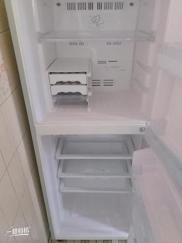 王曉瓶 - 冰箱清潔