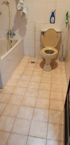 龍品專業清潔工程 - 廁所清潔 清潔後